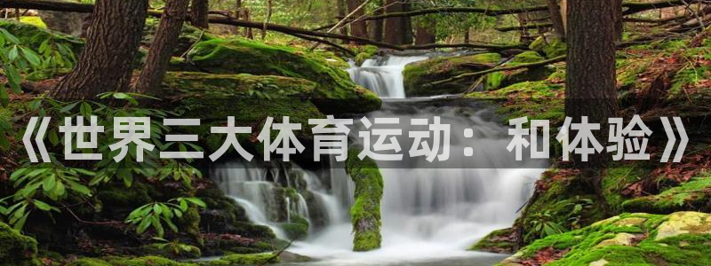 bsports官网 必一运动：《世界三大体育运动：和体验》