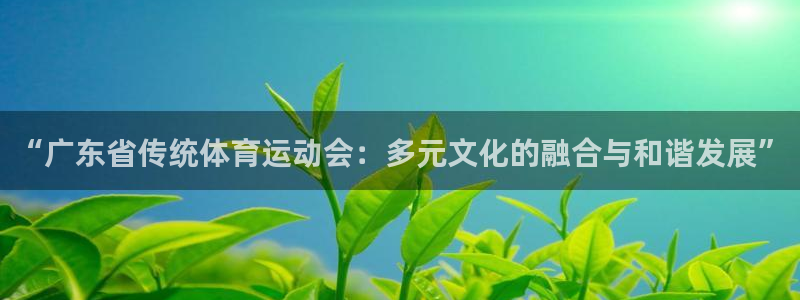 必一运动体育官网：“广东省传统体育运动会：多元文化的融合与和谐发展”