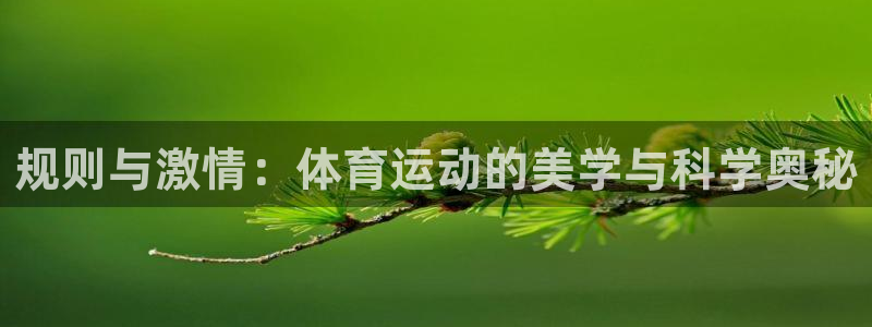 必一运动bsport体育：规则与激情：体育运动的美学与科学奥秘