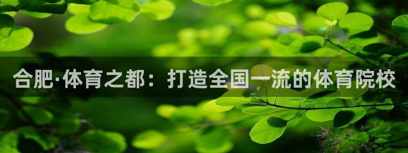 必一运动bsport体育：合肥·体育之都：打造全国一流的体育院校