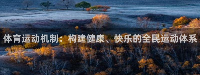 必一运动bsport体育：体育运动机制：构建健康、快乐的全民运动体系