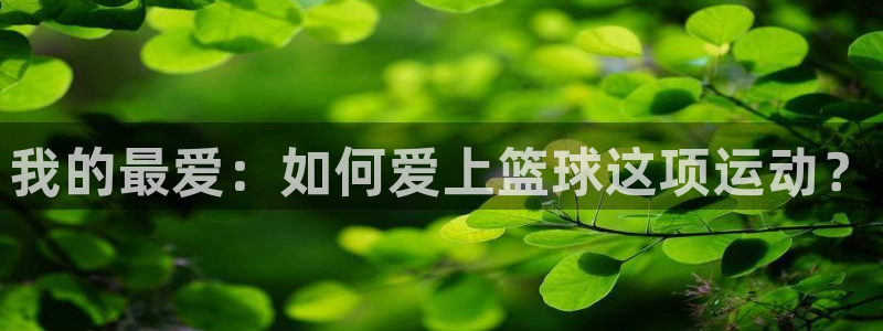 必一运动体育：我的最爱：如何爱上篮球这项运动？