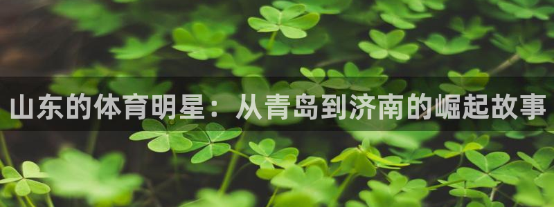 必一运动官网：山东的体育明星：从青岛到济南的崛起故事