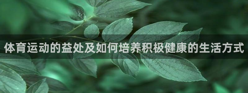 必一运动体育：体育运动的益处及如何培养积极健康的生活方式