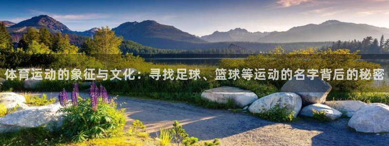 bsport必一运动：体育运动的象征与文化：寻找足球、篮球等运动的名字背后的秘密