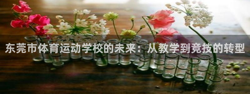 必一运动：东莞市体育运动学校的未来：从教学到竞技的转型