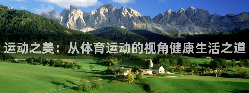 b体育必一运动官网：运动之美：从体育运动的视角健康生活之道