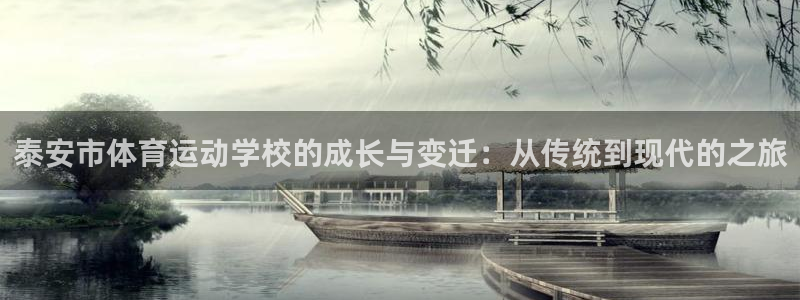 必一运动体育：泰安市体育运动学校的成长与变迁：从传统到现代的之旅