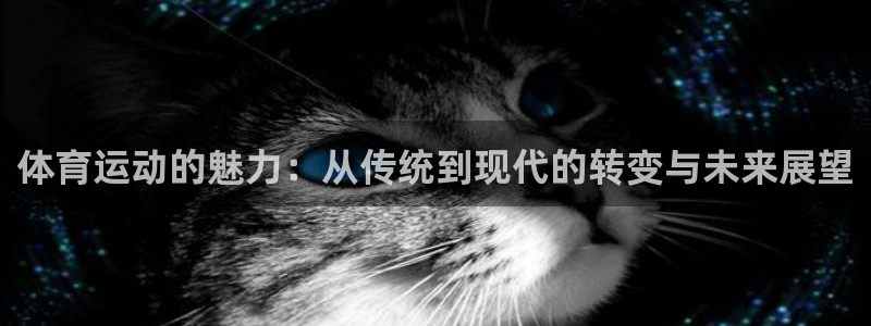 bsports官网 必一运动：体育运动的魅力：从传统到现代的转变与未来展望